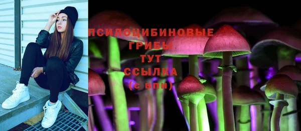 таблы Надым