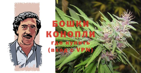 гашик Алексеевка