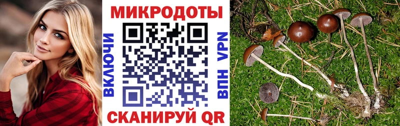 наркота  Агрыз  Галлюциногенные грибы мухоморы 